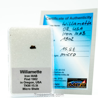 อุกกาบาต เหล็ก  Willamette Meteorite ชนิด Medium Octahedrite ชิ้นเล็ก พร้อมใบรับรอง จาก Germany #3 หนัก 0.015 กรัม