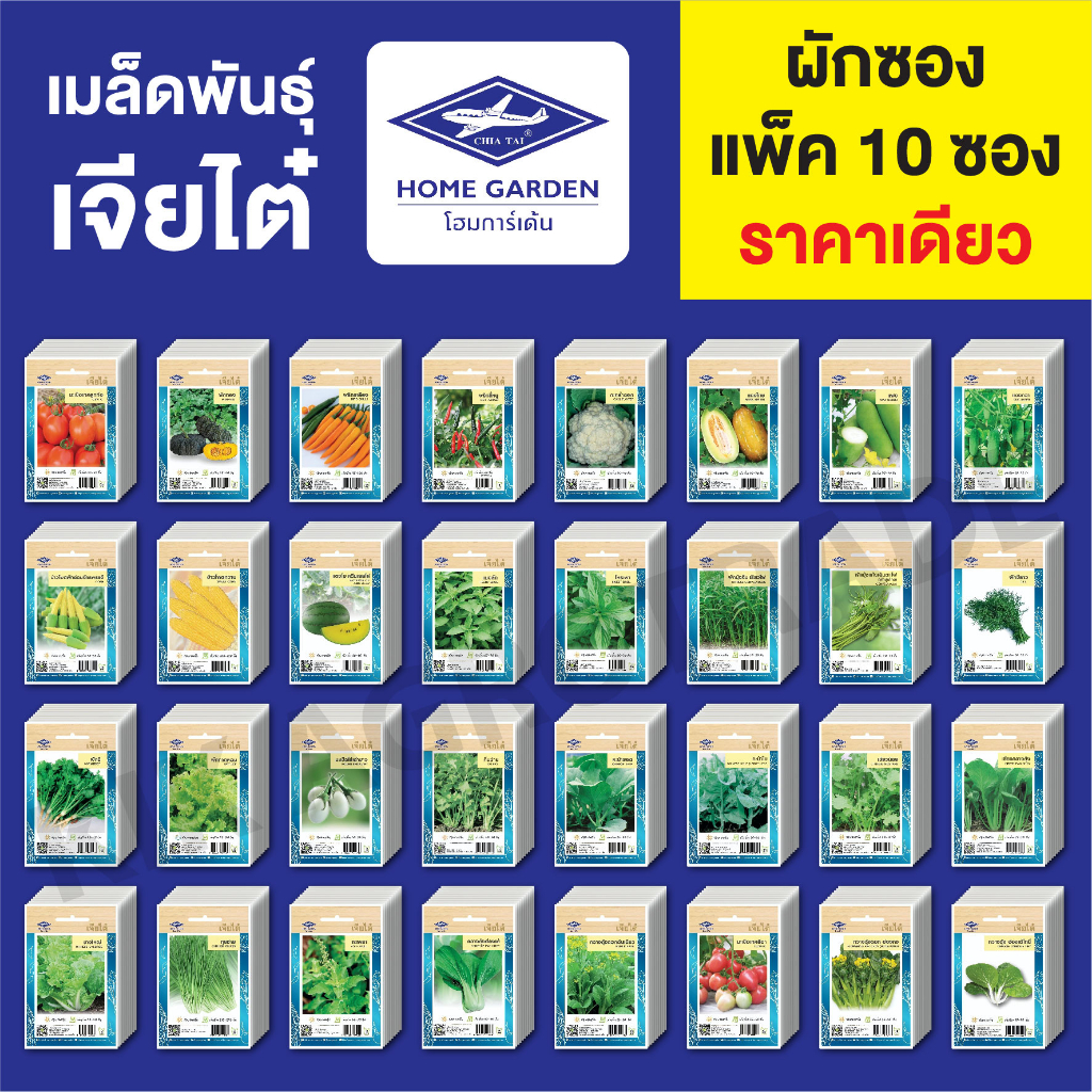 ขายส่ง เมล็ดพันธุ์ ผักซอง เจียไต๋ CT15 บรรจุแพ็คล่ะ 10 ซอง ราคา 80 บาท *คละชนิดได้ กดใส่ตะกล้าก่อนยืนยันสั่งซื้อ*