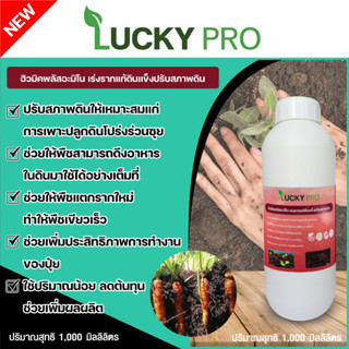 ฮิวมิคพลัสอะมิโน1000MLเร่งรากแก้ดินแข็งปรับสภาพดินLUCKY PROแก้ปัญหาดินเปรี้ยวดินเค็มดินแข็งทำให้ดินร่วนซุยพืชดูดธาตุดี