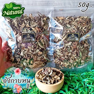 🌿ชาสมุนไพร🌿 ชาอังกาบหนู อังกาบหนูอบแห้ง(ทั้งต้นมีหนาม) ขนาด 50 กรัม Dried Porcupine Flower