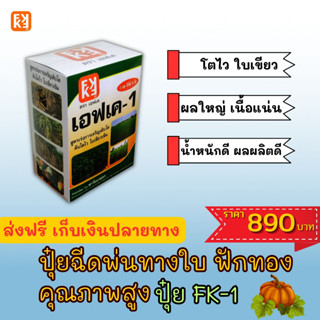 ฟักทอง โตไว ใบเขียว เนื้อแน่น  ผลใหญ่  ฉีดพ่นปุ๋ย FK-1 ต้นทุนต่อไร่ถูกกว่าปุ๋ยเม็ด 4เท่า เพิ่มผลผลิตสูงสุด 20เปอร์เซ็นต์