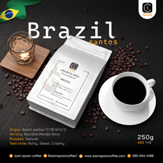 Brazil Santos (Medium Roast)