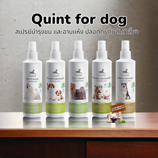 Quint​ Silky Coat 250ml.สเปรย์​อาบแห้ง​และบำรุงขน อาบแห้งสุนัข อาบแห้งแมว