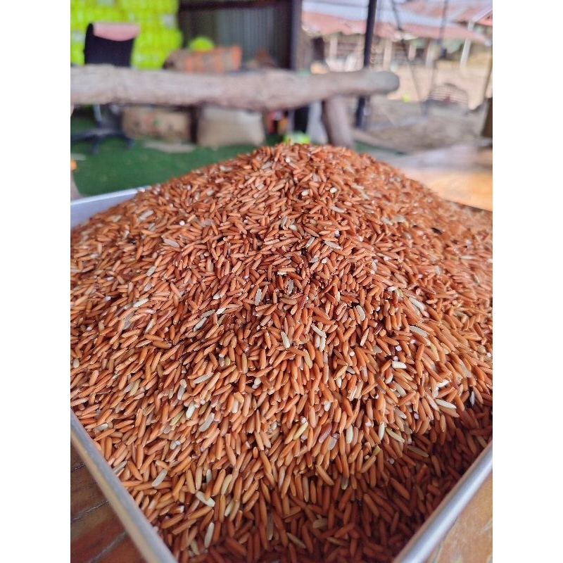 ข้าวเหนียวแดงอินทรีย์ (ข้าวใหม่ ข้าวกล้อง)