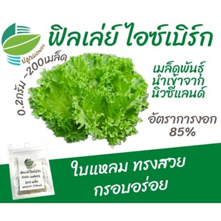 เมล็ดพันธุ์ ผักสลัด ฟิลเล่ย์ ไอซ์เบิร์ก (Frille Iceberg) แหล่งรวบรวมนิวซีแลนด์