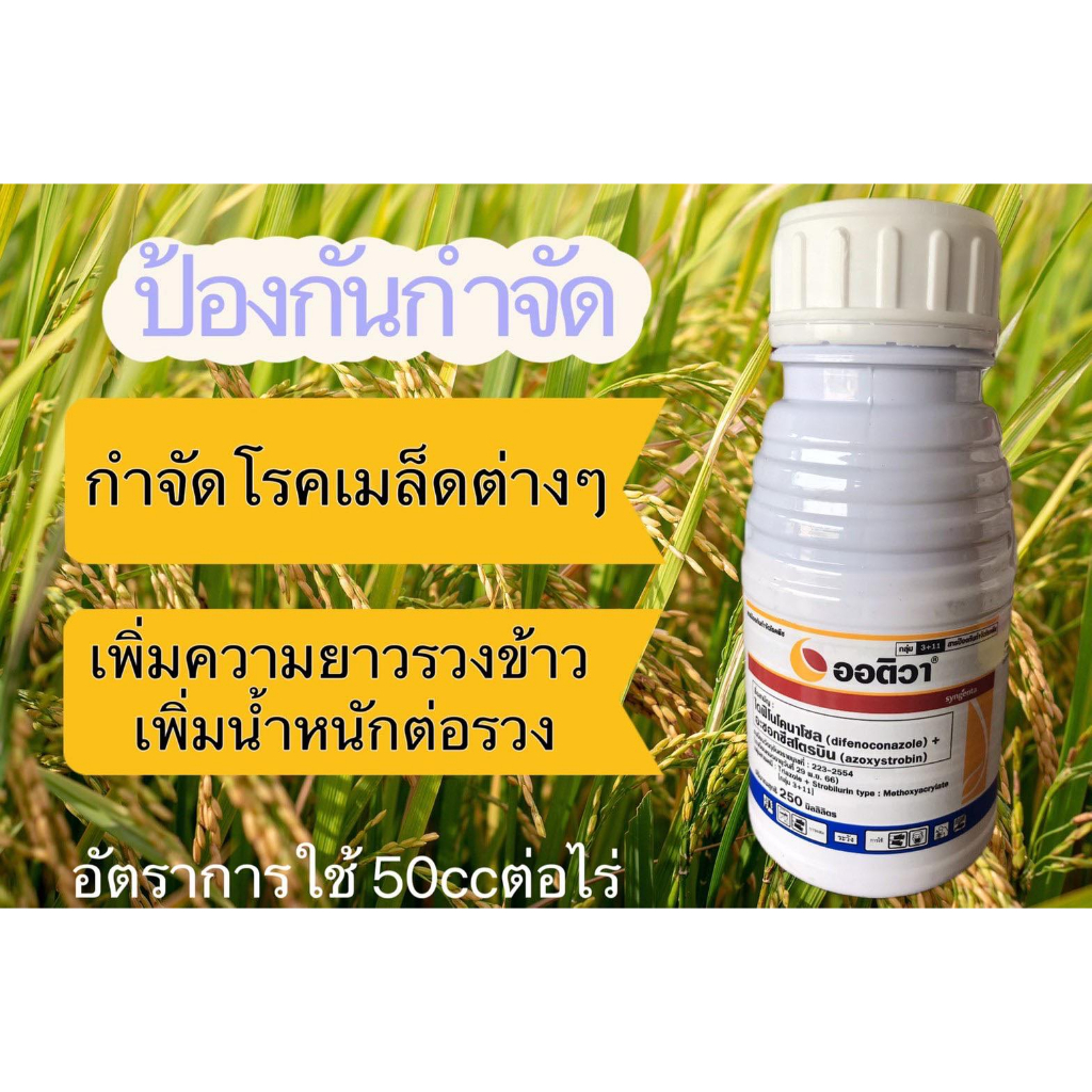 ออติวา 250ซีซี ซินเจนทา