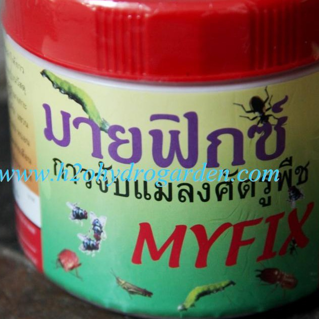 กาวเหนียวดักแมลง ยี่ห้อ : MYFIX กาวดักจับแมลงคุณภาพดี เจอความร้อนไม่ไหวเยิ้ม เหนียว แมลงติดแน่น เนื้อกาวเป็นสีเหลือง