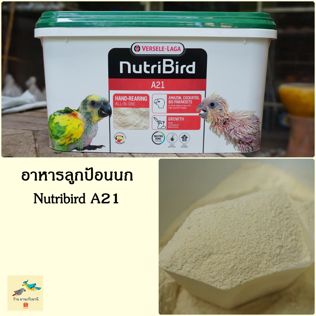A21 อาหารลูกป้อนนก ( ตักแบ่ง 1 กิโลกรัม ) Nutribird A21 ฝาเขียว