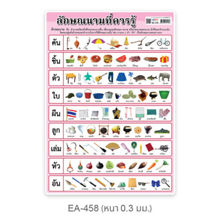 ลักษณนามที่ควรรู้ EA-458 โปสเตอร์พลาสติก ขนาดA4 สื่อการเรียนการสอน สื่อการเรียนรู้