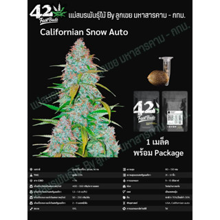 เมล็ดกัญชา Californian Snow Auto - FastBuds