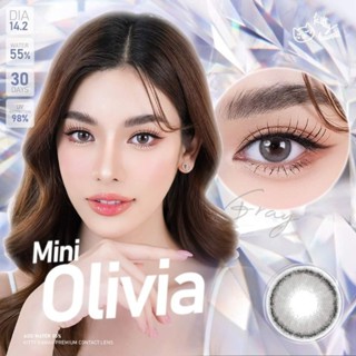 คอนแทคเลนส์ (kitty kawaii) Mini Olivia Gray  สายตา ปกติ ถึง -600 คอนแทคเลนส์ Kitty Kawaii