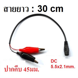 หัวต่อ DC 5.5mm แปลงเป็นปากคีบ ปากจรเข้ขนาด 45mm.