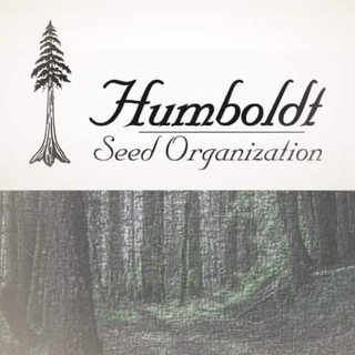 [แบ่งแพ็ค] - Humboldt Seed Organisation โฟโต้และออโต้