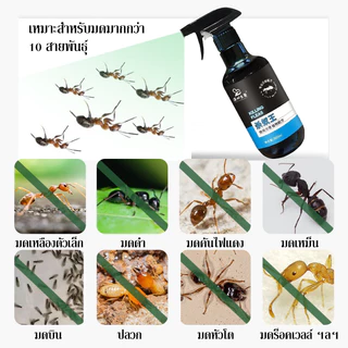 ยาฆ่ามด ยากำจัดมด กำจัดมด สเปรย์กำจัดมด 300ML ได้ผล 100% ฆ่ามด ไล่มด ยาฉีดมดในบ้าน สเปรย์ไล่มด กำจัดมด ยกรัง ฆ่ามด