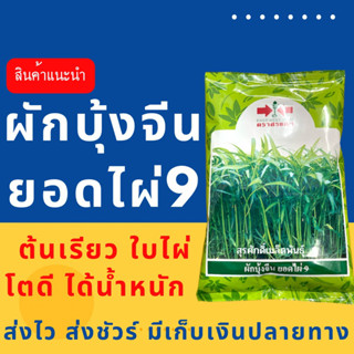 (ของแท้ ส่งไว) ผักบุ้งยอดไผ่9 1 กิโล ตราศรแดง