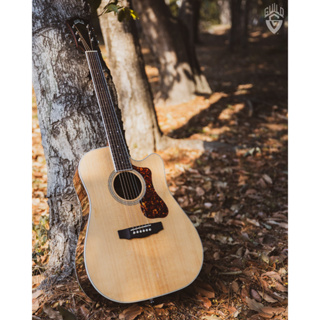 กีต้าร์โปร่ง Guild D-260CE Deluxe NAT SOLID SITKA SPRUCE / ARCHED STRIPED EBONY กีตาร์ Acoustic Guitar กีตาร์โปร่ง
