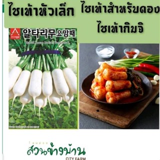 เมล็ดหัวไชเท้าเกาหลี ใช้ทำกิมจิ 50เมล็ด