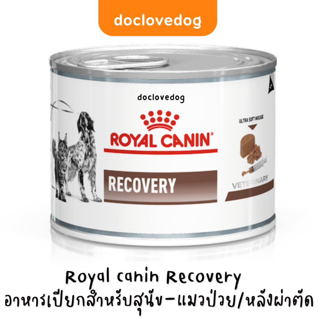 [1 กระป๋อง] Royal canin Recovery can 195g อาหารเปียกสำหรับสุนัข-แมวป่วย พักฟื้นหลังผ่าตัด