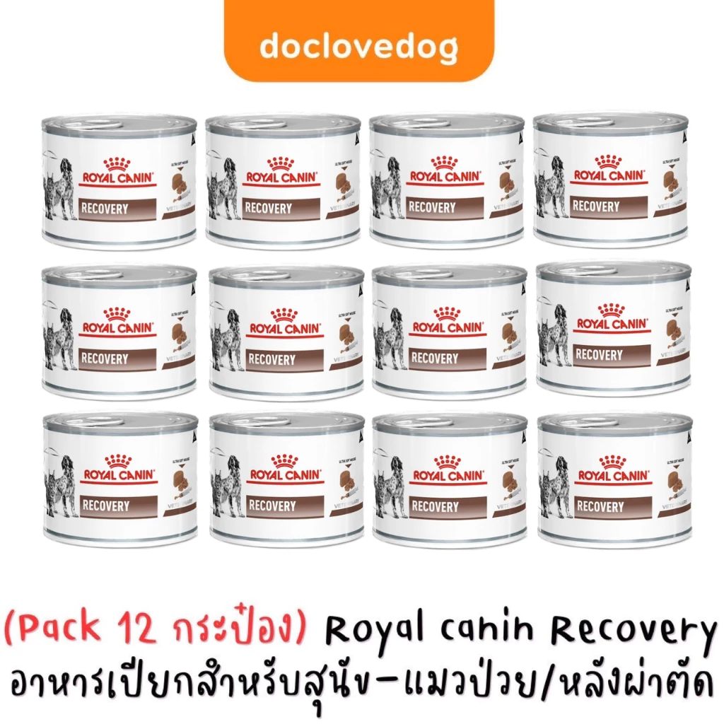 Royal Canin Recovery can 195g อาหารกระป๋องสำหรับสุนัขและแมวป่วย พักฟื้นหลังผ่าตัด