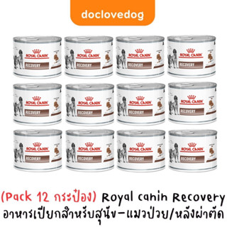 (Pack 12 กระป๋อง) Recovery อาหารเปียกให้พลังงานสูงเหมาะสำหรับสุนัขและแมว