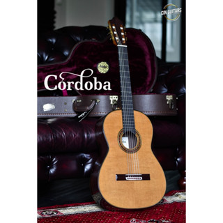 กีต้าร์คลาสสิค Cordoba Friederich CD CANADIAN CEDAR / INDIAN ROSEWOOD Classic Guitar กีตาร์คลาสสิค กีตาร์