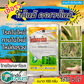 🌾 ไตรไซคลาโซล75 (ไตรไซคลาโซล) ขนาด 100กรัม ป้องกันโรคไหม้ในนาข้าว