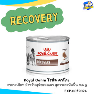 Royal Canin โรยัล คานิน อาหารเปียก สำหรับสุนัขและแมว สูตรระยะพักฟื้น 195 g 1  กระป๋อง