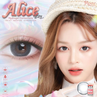 Alice gray คอนแทคเลนส์ (Rozelens ค่าอมน้ำ 55%)