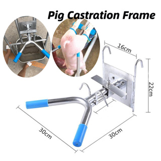 เครื่องมือแร็คตอนสุกร Double Hook Suspension สแตนเลสใช้งานง่ายสะดวก Pig Castration Frame