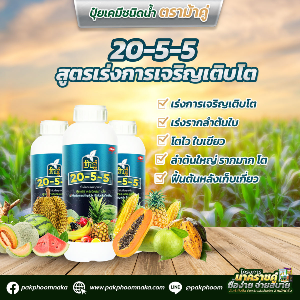 ปุ๋ยเคมีชนิดน้ำ ตราม้าคู่ สูตร 20-5-5