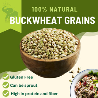 Green Buckwheat grains 1000g เมล็ดบัควีท บัควีท บักวีต / เพราะงอกได้ / can be sprouting