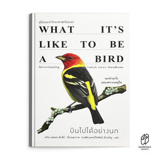 Saengdao(แสงดาว) หนังสือ  What its like to be a bird : บินไปได้อย่างนก  คู่มือแนะนำวิทยาศาสตร์ของนก