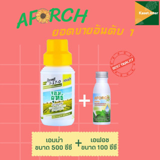 ส่งฟรี! ชุด เอฟอช 100ซีซี + เอมม่า 500ซีซี / แกรมม่าทู 500ซีซี / ซีโฟ 500ซีซี ชุดเอฟอช เอฟอช เอฟอส