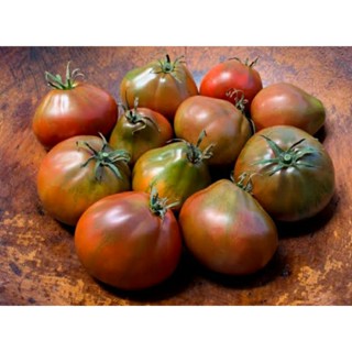 เมล็ดพันธุ์มะเขือเทศ เจแปนนีส แบล็ค ทรัฟเฟิล (Japanese Black Trifele Tomato Seed) บรรจุ 15 เมล็ด ของแท้ คุณภาพดี นำเข้า