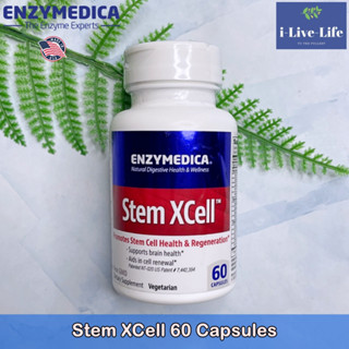 Enzymedica - Stem XCell 60 Capsules อาหารเสริม สเต็มเซลล์ สนับสนุนการสร้างเซลล์ใหม่ ชะลอวัย