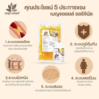 เบญจออยล์ออริจินัล 500 แคปซูล ถุงรีฟิล ช่วยฟื้นฟูบำรุงร่างกาย เสริมสร้างภูมิคุ้มกัน)