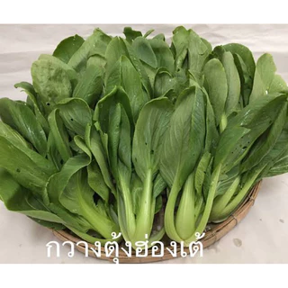 ถูกสุดคุ้ม ผักกวางตุ้ง ฮ่องเต้ 1,000 เมล็ด