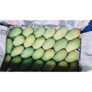 มะม่วงอกร่องโบราณจากสวนดำเนินฯ เบอร์รองจากจัมโบ้(5-6 ลูก/1 ก…