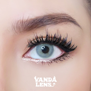 VANDA LENS คอนแทคเลนส์สายฝอ รุ่น Jasper Gray (ใส่ค่าสายตาในหมายเหตุ)