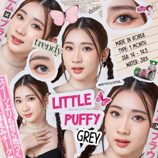 คอนแทคเลนส์ Mini Puffy/Little Puffy สีเทา/ตาล Gray/Brown มีค่าสายตา (0.00)-(-5.50) เปลี่ยนแทนทุกเดือน