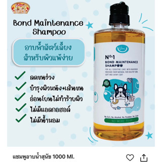 Bond Maintenance Shampoo