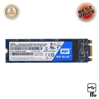 250 GB SSD M.2 WD BLUE 3D NAND (WDS250G3B0B) SATA M.2 2280 ฮาร์ดดิส ฮาร์ดดิสก์ ฮาร์ดดิสก์ ประกัน 5Y