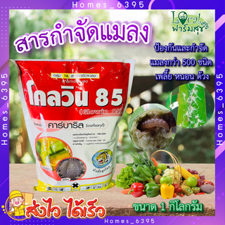 โกลวิน 85  ขนาด 1 กิโลกรัม  🍃 คาร์บาริล 85 % WP 🍃 ยากำจัดแมลง เพลี้ย ยาฆ่าหนอน กำจัดหนอน ปลวก มด สำหรับ : พืชผัก ไม้ผล แ