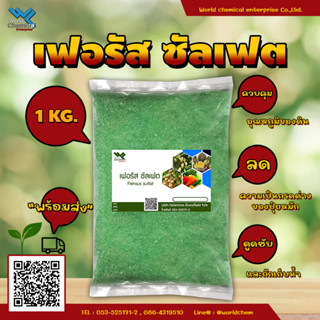 เฟอรัส ซัลเฟส Ferrous sulfate เหล็กซัลเฟต จุลธาตุเหล็ก ขนาด 1 Kg