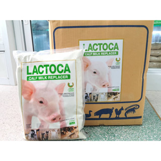 นมชงแลคโตคา (LACTOCA) อาหารแทนนมสำหรับสัตว์ ขนาด 1 กิโลกรัม จำนวน 10 ซอง