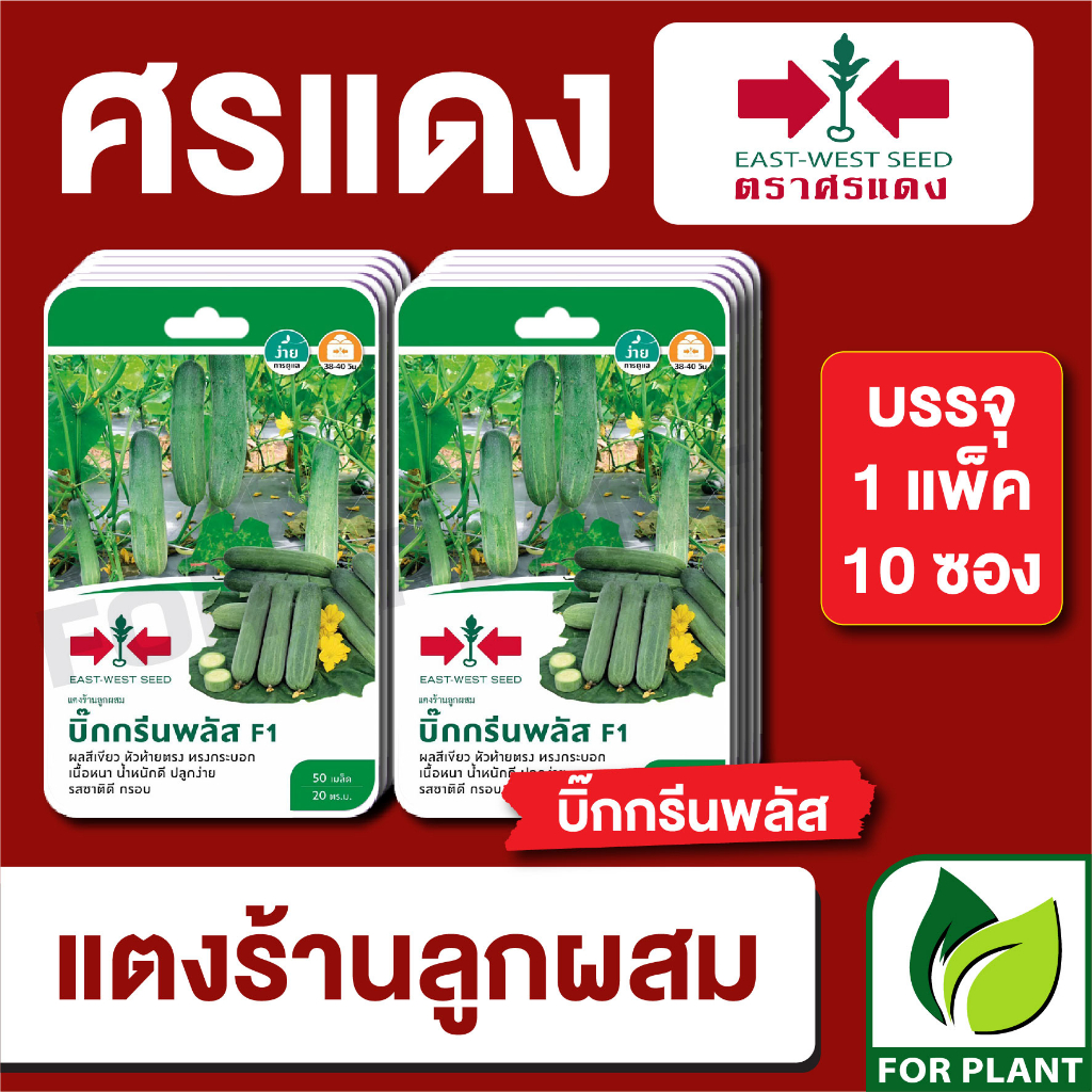 เมล็ดพันธุ์ผัก ผักซอง แตงร้าน บิ๊กกรีนพลัส F1 ตราศรแดง บรรจุแพ็คล่ะ 10 ซอง ราคา 310 บาท