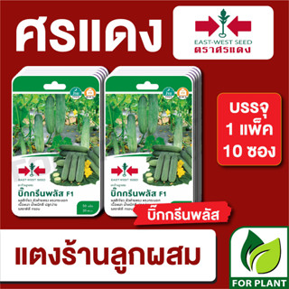 เมล็ดพันธุ์ผัก ผักซอง แตงร้าน บิ๊กกรีนพลัส F1 ตราศรแดง บรรจุแพ็คล่ะ 10 ซอง ราคา 230 บาท