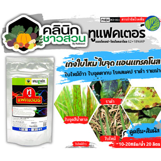 🥬 ทูแฟคเตอร์ (แมนโคเซบ+ไตรไซคลาโซล) บรรจุ 100กรัม ป้องกันกำจัดโรคใบจุด