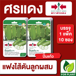 เมล็ดพันธุ์ผัก ผักซอง แฟง ปิ่นแก้ว F1 ตราศรแดง บรรจุแพ็คล่ะ 10 ซอง ราคา 230 บาท