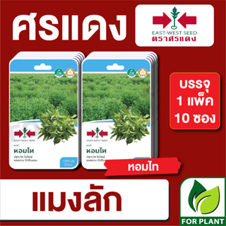 เมล็ดพันธุ์ผัก ผักซอง แมงลัก หอมไท F1 ตราศรแดง บรรจุแพ็คล่ะ 10 ซอง ราคา 230 บาท